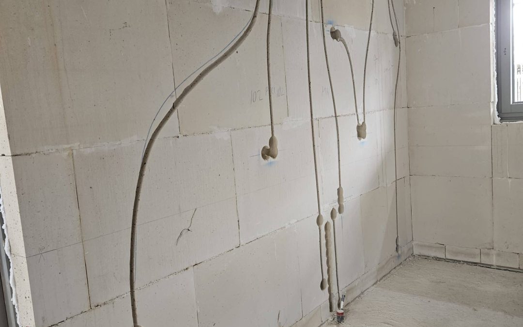 Sleuven vrezen: Waarom dit fenomeen steeds vaker voorkomt in Nederland